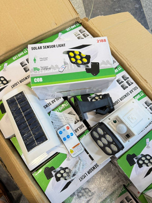 solar-powered motion sensor light